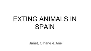 EXTING ANIMALS IN
SPAIN
Janet, Oihane & Ane
 