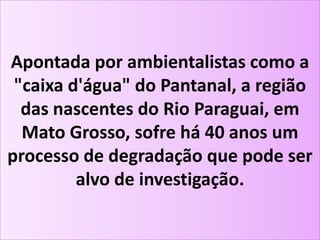Apontada por ambientalistas como a
"caixa d'água" do Pantanal, a região
das nascentes do Rio Paraguai, em
Mato Grosso, sofre há 40 anos um
processo de degradação que pode ser
alvo de investigação.
 