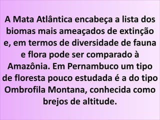 A Mata Atlântica encabeça a lista dos
biomas mais ameaçados de extinção
e, em termos de diversidade de fauna
e flora pode ser comparado à
Amazônia. Em Pernambuco um tipo
de floresta pouco estudada é a do tipo
Ombrofila Montana, conhecida como
brejos de altitude.
 