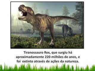 Tiranossauro Rex, que surgiu há
aproximadamente 220 milhões de anos, e
foi extinto através de ações da natureza.
 