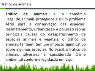 Tráfico de animais
Tráfico de animais é o comércio
ilegal de animais protegidos e é um problema
sério para a conservação das espécies.
Desmatamento, urbanização e poluição são as
principais causas do desaparecimento de
espécies animais e vegetais, o tráfico de
animais também tem um impacto significativo
sobre algumas espécies. No Brasil, o tráfico de
animais silvestres é considerado Crime
ambiental conforme legislação em vigor.
 