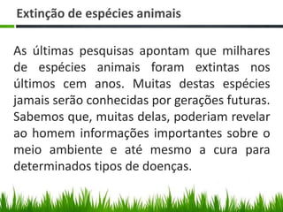 Extinção de espécies animais
As últimas pesquisas apontam que milhares
de espécies animais foram extintas nos
últimos cem anos. Muitas destas espécies
jamais serão conhecidas por gerações futuras.
Sabemos que, muitas delas, poderiam revelar
ao homem informações importantes sobre o
meio ambiente e até mesmo a cura para
determinados tipos de doenças.
 