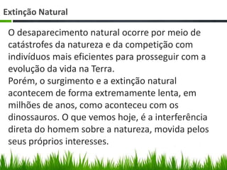 Extinção Natural
O desaparecimento natural ocorre por meio de
catástrofes da natureza e da competição com
indivíduos mais eficientes para prosseguir com a
evolução da vida na Terra.
Porém, o surgimento e a extinção natural
acontecem de forma extremamente lenta, em
milhões de anos, como aconteceu com os
dinossauros. O que vemos hoje, é a interferência
direta do homem sobre a natureza, movida pelos
seus próprios interesses.
 