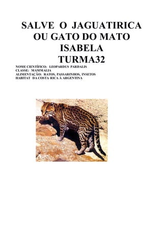 SALVE O JAGUATIRICA
OU GATO DO MATO
ISABELA
TURMA32
NOME CIENTÍFICO: LEOPARDUS PARDALIS
CLASSE: MAMMALIA
ALIMENTAÇÃO: RATOS, PASSARINHOS, INSETOS
HABITAT DA COSTA RICA À ARGENTINA
 