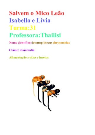 Salvem o Mico Leão
Isabella e Lívia
Turma:31
Professora:Thailisi
Nome científico: leontopithecuschrysomelas
Classe:mammalia
Alimentação:raízes e insetos
 
