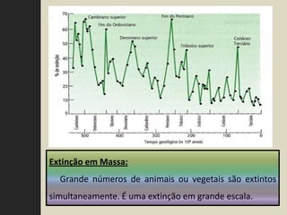 Extinção em Massa:
  Grande números de animais ou vegetais são extintos
simultaneamente. É uma extinção em grande escala.
 