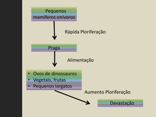 Pequenos
  mamíferos onívoros

                Rápida Ploriferação


        Praga

                 Alimentação

• Ovos de dinossauros
• Vegetais, frutas
• Pequenos largatos
                         Aumento Ploriferação

                                      Devastação
 