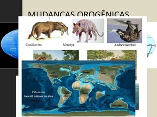 MUDANÇAS OROGÊNICAS




      OLIGOCENO
      PALEOCENO
       EOCENO
 