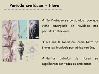 Período cretáceo - Flora


                No Cretáceo se consolidou tudo que
               vinha   emergindo      de    novidade     nos
               períodos anteriores;


                A flora se solidificou como farta de
               florestas tropicais por várias regiões;


                Plantas   dotadas         de   flores   se
               espalharam por todos os ambientes.
 