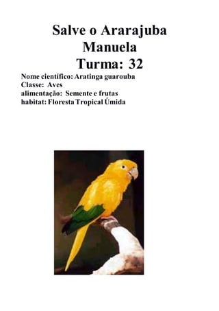 Salve o Ararajuba
Manuela
Turma: 32
Nome científico:Aratinga guarouba
Classe: Aves
alimentação: Semente e frutas
habitat:FlorestaTropical Úmida
 