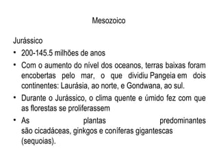 Mesozoico

Jurássico
• 200-145.5 milhões de anos
• Com o aumento do nível dos oceanos, terras baixas foram
  encobertas pelo mar, o que dividiu Pangeia em dois
  continentes: Laurásia, ao norte, e Gondwana, ao sul.
• Durante o Jurássico, o clima quente e úmido fez com que
  as florestas se proliferassem
• As                    plantas              predominantes
  são cicadáceas, ginkgos e coníferas gigantescas
  (sequoias).
 
