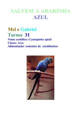SALVEM A ARARINHA
AZUL
Mel e Gabriel
Turma 31
Nome centifico: Cyanopsitta spixii
Classe: Aves
Alimentação: sementes de carabineiras
 