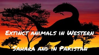 Extinct animals in Western
Sahara and in Pakistan
 