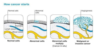 Cancer Biology: an overview | PPTX