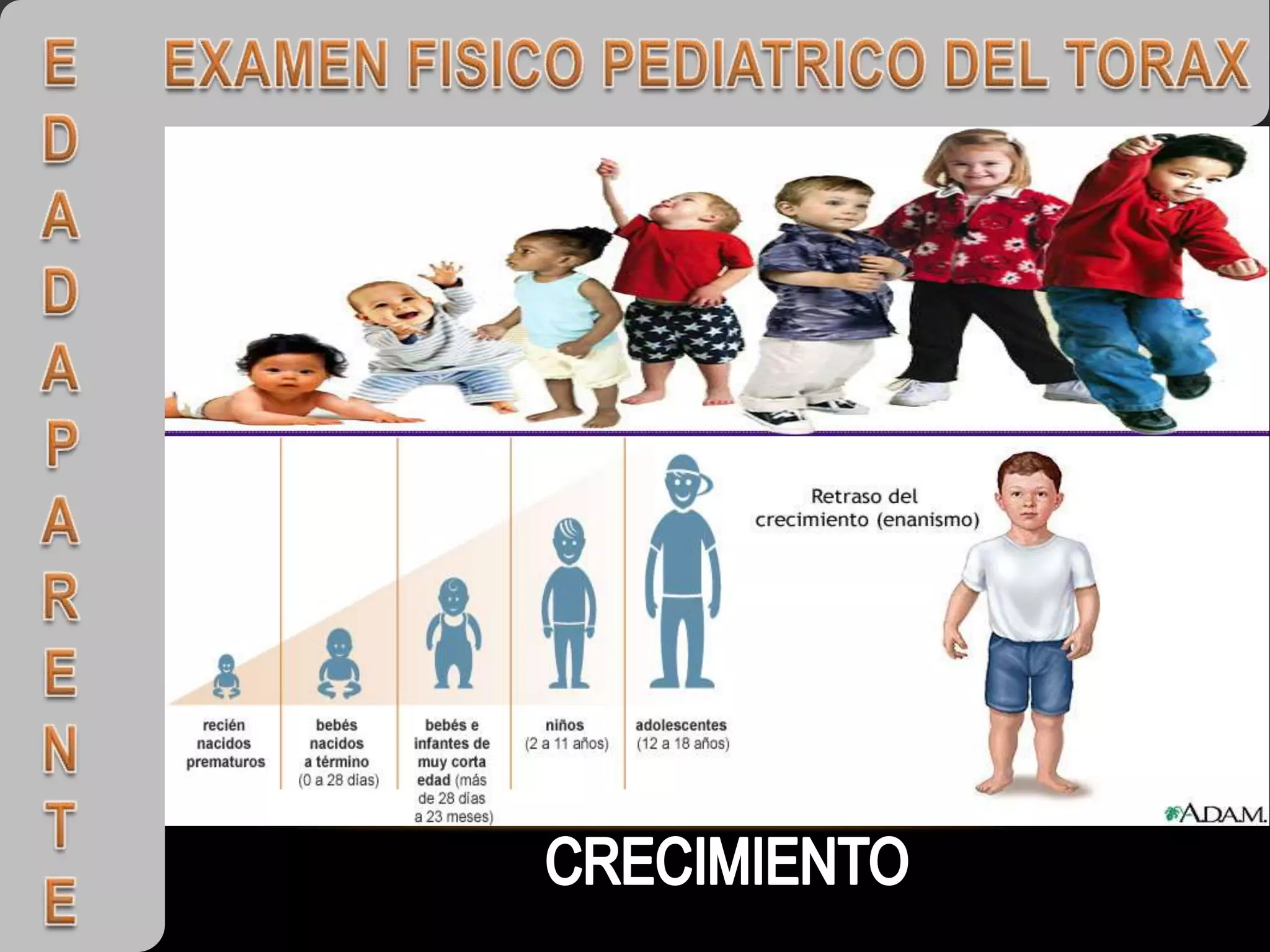 Examen Torax Pediatrico Inspeccion y Palpacion