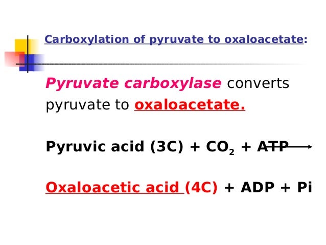 Αποτέλεσμα εικόνας για pyruvic acid to oxaloacetic acid