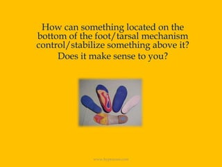 How can something located on the bottom of the foot/tarsal mechanism control/stabilize something above it?Does it make sense to you?www.hyprocure.com