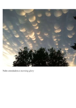 Nube enredadera o morning glory
 