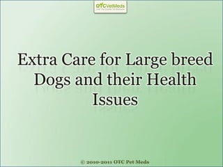 Extra Care for Large breed
  Dogs and their Health
          Issues


        © 2010-2011 OTC Pet Meds
 