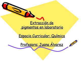 Extracción de  pigmentos en laboratorio Espacio Curricular: Química Profesora: Juana Álvarez 