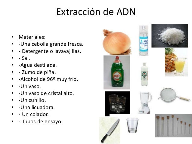 Extracción de adn