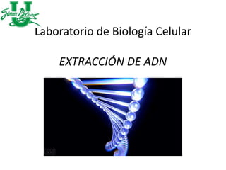 Laboratorio de Biología Celular
EXTRACCIÓN DE ADN
 