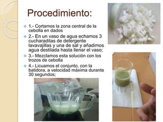 Procedimiento:
 1.- Cortamos la zona central de la
cebolla en dados
 2.- En un vaso de agua echamos 3
cucharaditas de detergente
lavavajillas y una de sal y añadimos
agua destilada hasta llenar el vaso;
 3.- Mezclamos esta solución con los
trozos de cebolla
 4.- Licuamos el conjunto, con la
batidora, a velocidad máxima durante
30 segundos;
 