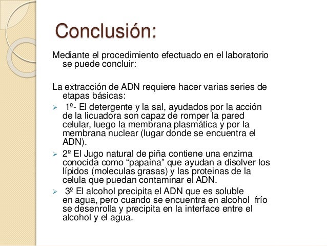 Conclusion Sobre La Extraccion De Adn