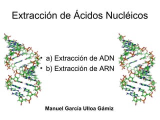 Extracción de Ácidos Nucléicos
• a) Extracción de ADN
• b) Extracción de ARN
Manuel García Ulloa Gámiz
 