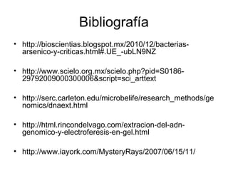 Bibliografía
• http://bioscientias.blogspot.mx/2010/12/bacterias-
arsenico-y-criticas.html#.UE_-ubLN9NZ
• http://www.scielo.org.mx/scielo.php?pid=S0186-
29792009000300006&script=sci_arttext
• http://serc.carleton.edu/microbelife/research_methods/ge
nomics/dnaext.html
• http://html.rincondelvago.com/extracion-del-adn-
genomico-y-electroferesis-en-gel.html
• http://www.iayork.com/MysteryRays/2007/06/15/11/
 
