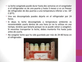 • La leche congelada puede durar hasta dos semanas en el congelador
  si el refrigerador es de una puerta y hasta 3 meses si es un freezer
  de refrigerador de dos puertas a una temperatura inferior a los -18°
  C (0°F).
• Una vez descongelada puedes dejarla en el refrigerador por 24
  horas.
• Si dejas la leche descongelada a temperatura ambiente es
  recomendable usarla dentro de una hora (si no la utilizas en ese
  tiempo, tendrás que botarla porque no se puede volver a congelar).
  Si necesitas transportar la leche, debes mantenla fría hasta justo
  antes de usarla.
• No congelar leche que ha sido guardada por más de 24-48 horas en
  el refrigerador.
 