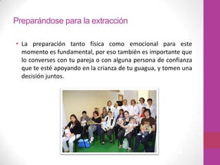 Preparándose para la extracción

• La preparación tanto física como emocional para este
  momento es fundamental, por eso también es importante que
  lo converses con tu pareja o con alguna persona de confianza
  que te esté apoyando en la crianza de tu guagua, y tomen una
  decisión juntos.
 