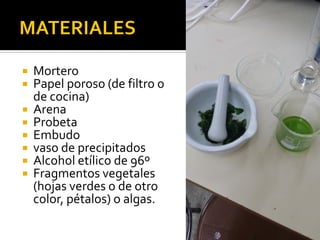  Mortero
 Papel poroso (de filtro o
de cocina)
 Arena
 Probeta
 Embudo
 vaso de precipitados
 Alcohol etílico de 96º
 Fragmentos vegetales
(hojas verdes o de otro
color, pétalos) o algas.
 