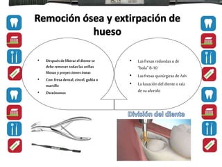 • Después deliberar el dientese
deberemover todas las orillas
filosas yproyecciones óseas
• Con: fresa dental, cincel, gubia o
martillo
• Osteótomos
• Las fresas redondas o de
“bola” 8-10
• Las fresas quirúrgicasde Ash
• La luxación del diente o raíz
desu alveolo
 