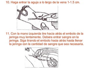 10. Haga entrar la aguja a lo largo de la vena 1-1.5 cm. 11. Con la mano izquierda tire hacia atrás el embolo de la jeringa muy lentamente. Debera entrar sangre en la  jeringa. Siga tirando el embolo hacia atrás hasta llenar la jeringa con la cantidad de sangre que sea necesaria. 