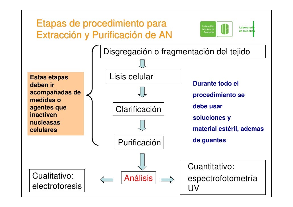 La receta de la máscara para laminirovaniya el cabello