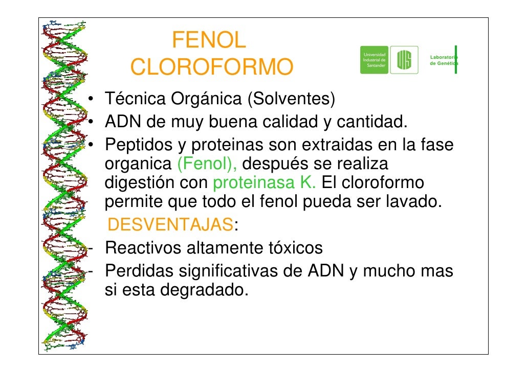 Extraccion Adn Qca Clinica Especializada 2009 Pdf