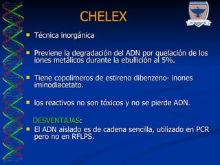Extraccion ADN | PPT