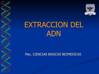 EXTRACCION DEL ADN Msc. CIENCIAS BASICAS BIOMEDICAS LABORATORIO DE BIOCIENCIAS 