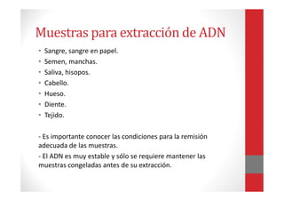 Muestras para extracción de ADN
• Sangre, sangre en papel.
• Semen, manchas.
• Saliva, hisopos.
• Cabello.
• Hueso.
• Diente.
• Tejido.
- Es importante conocer las condiciones para la remisión
adecuada de las muestras.
- El ADN es muy estable y sólo se requiere mantener las
muestras congeladas antes de su extracción.
 