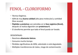FENOL - CLOROFORMO
• Técnica Orgánica.
• ADN de muy buena calidad (alto peso molecular) y cantidad
(fase acuosa)
• Péptidos y proteínas son extraídas en la fase orgánica (fenol),
después se realiza digestión con proteinasa K.
• El cloroformo permite que todo el fenol pueda ser lavado.
DESVENTAJAS:
• Reactivos altamente tóxicos.
• Consume mucho tiempo
• Pérdidas significativas de ADN, sobretodo si está degradado.
• Múltiples transferencias de tubos, riesgo de contaminación
 
