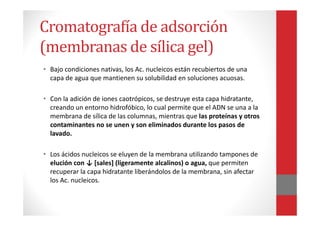 • Bajo condiciones nativas, los Ac. nucleicos están recubiertos de una
capa de agua que mantienen su solubilidad en soluciones acuosas.
• Con la adición de iones caotrópicos, se destruye esta capa hidratante,
creando un entorno hidrofóbico, lo cual permite que el ADN se una a la
membrana de sílica de las columnas, mientras que las proteínas y otros
contaminantes no se unen y son eliminados durante los pasos de
lavado.
• Los ácidos nucleicos se eluyen de la membrana utilizando tampones de
elución con ↓ [sales] (ligeramente alcalinos) o agua, que permiten
recuperar la capa hidratante liberándolos de la membrana, sin afectar
los Ac. nucleicos.
Cromatografía de adsorción
(membranas de sílica gel)
 