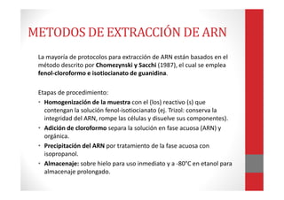 METODOS DE EXTRACCIÓN DE ARN
La mayoría de protocolos para extracción de ARN están basados en el
método descrito por Chomezynski y Sacchi (1987), el cual se emplea
fenol-cloroformo e isotiocianato de guanidina.
Etapas de procedimiento:
• Homogenización de la muestra con el (los) reactivo (s) que
contengan la solución fenol-isotiocianato (ej. Trizol: conserva la
integridad del ARN, rompe las células y disuelve sus componentes).
• Adición de cloroformo separa la solución en fase acuosa (ARN) y
orgánica.
• Precipitación del ARN por tratamiento de la fase acuosa con
isopropanol.
• Almacenaje: sobre hielo para uso inmediato y a -80°C en etanol para
almacenaje prolongado.
 