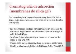 Cromatografía de adsorción
(membranas de sílica gel)
Esta metodología se basa en la adsorción y desorción de los
ácidos nucleicos a membranas de sílice, en presencia de sales
caotrópicas.
• Las muestras son lisadas y homogenizadas en presencia de
tiocianato de guanidina, sal caotrópica capaz de proteger al
ARN de las RNAsas.
• Se añade Etanol a la mezcla y se coloca en la columna de
sílica, la cual une ARN.
• Cualquier impureza es removida en los lavados posteriores.
• El ARN se eluye con H2O libre de RNAsas o Buffer Tris pH 7,6.
 