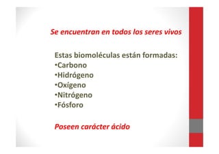 Se encuentran en todos los seres vivos
Estas biomoléculas están formadas:
•Carbono
•Hidrógeno
•Oxígeno
•Nitrógeno
•Fósforo
Poseen carácter ácido
 