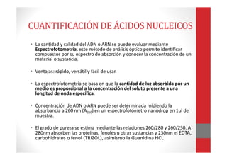 CUANTIFICACIÓN DE ÁCIDOS NUCLEICOS
• La cantidad y calidad del ADN o ARN se puede evaluar mediante
Espectrofotometría, este método de análisis óptico permite identificar
compuestos por su espectro de absorción y conocer la concentración de un
material o sustancia.
• Ventajas: rápido, versátil y fácil de usar.
• La espectrofotometría se basa en que la cantidad de luz absorbida por un
medio es proporcional a la concentración del soluto presente a una
longitud de onda específica.
• Concentración de ADN o ARN puede ser determinada midiendo la
absorbancia a 260 nm (A260) en un espectrofotómetro nanodrop en 1ul de
muestra.
• El grado de pureza se estima mediante las relaciones 260/280 y 260/230. A
280nm absorben las proteínas, fenoles u otras sustancias y 230nm el EDTA,
carbohidratos o fenol (TRIZOL), asimismo la Guanidina HCL
 