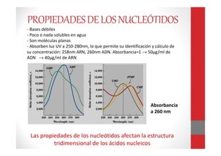 Las propiedades de los nucleótidos afectan la estructura
tridimensional de los ácidos nucleicos
Absorbancia
a 260 nm
- Bases débiles
- Poco o nada solubles en agua
- Son moléculas planas
- Absorben luz UV a 250-280nm, lo que permite su identificación y cálculo de
su concentración: 258nm ARN, 260nm ADN. Absorbancia=1 → 50µg/ml de
ADN → 40µg/ml de ARN
PROPIEDADESDELOSNUCLEÓTIDOS
 