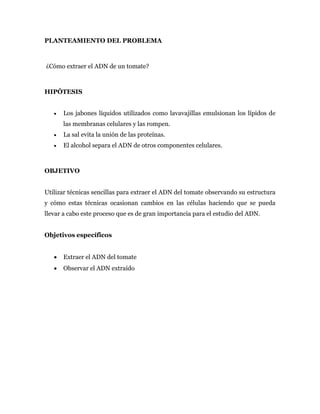 PLANTEAMIENTO DEL PROBLEMA
¿Cómo extraer el ADN de un tomate?
HIPÓTESIS
 Los jabones líquidos utilizados como lavavajillas emulsionan los lípidos de
las membranas celulares y las rompen.
 La sal evita la unión de las proteínas.
 El alcohol separa el ADN de otros componentes celulares.
OBJETIVO
Utilizar técnicas sencillas para extraer el ADN del tomate observando su estructura
y cómo estas técnicas ocasionan cambios en las células haciendo que se pueda
llevar a cabo este proceso que es de gran importancia para el estudio del ADN.
Objetivos específicos
 Extraer el ADN del tomate
 Observar el ADN extraído
 