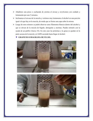  Añadimos una pizca o cucharada de enzima al envase y revolvemos con cuidado y
lentamente por uno 5 minutos.
 Inclinamos el envase de la mezcla y vertimos muy lentamente el alcohol en una porción
igual a la que hay en la mezcla, de modo que se forme una capa sobre la misma.
 Luego de unos minutos se podrá observar unos filamentos blancos dentro del alcohol y
que se elevan de la mezcla de hígado, detergente y enzimas. Puedes retirarlo con la
ayuda de un palillo (Anexo #2). En este caso las proteínas y la grasa se quedan en la
parte acuosa de la mezcla y el ADN asciende hasta llegar al alcohol.
GRAFICOS O DIAGRAMA DE FLUJO.

 