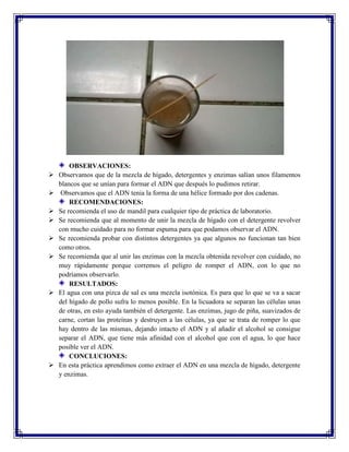 










OBSERVACIONES:
Observamos que de la mezcla de hígado, detergentes y enzimas salían unos filamentos
blancos que se unían para formar el ADN que después lo pudimos retirar.
Observamos que el ADN tenia la forma de una hélice formado por dos cadenas.
RECOMENDACIONES:
Se recomienda el uso de mandil para cualquier tipo de práctica de laboratorio.
Se recomienda que al momento de unir la mezcla de hígado con el detergente revolver
con mucho cuidado para no formar espuma para que podamos observar el ADN.
Se recomienda probar con distintos detergentes ya que algunos no funcionan tan bien
como otros.
Se recomienda que al unir las enzimas con la mezcla obtenida revolver con cuidado, no
muy rápidamente porque corremos el peligro de romper el ADN, con lo que no
podríamos observarlo.
RESULTADOS:
El agua con una pizca de sal es una mezcla isotónica. Es para que lo que se va a sacar
del hígado de pollo sufra lo menos posible. En la licuadora se separan las células unas
de otras, en esto ayuda también el detergente. Las enzimas, jugo de piña, suavizados de
carne, cortan las proteínas y destruyen a las células, ya que se trata de romper lo que
hay dentro de las mismas, dejando intacto el ADN y al añadir el alcohol se consigue
separar el ADN, que tiene más afinidad con el alcohol que con el agua, lo que hace
posible ver el ADN.
CONCLUCIONES:
En esta práctica aprendimos como extraer el ADN en una mezcla de hígado, detergente
y enzimas.

 